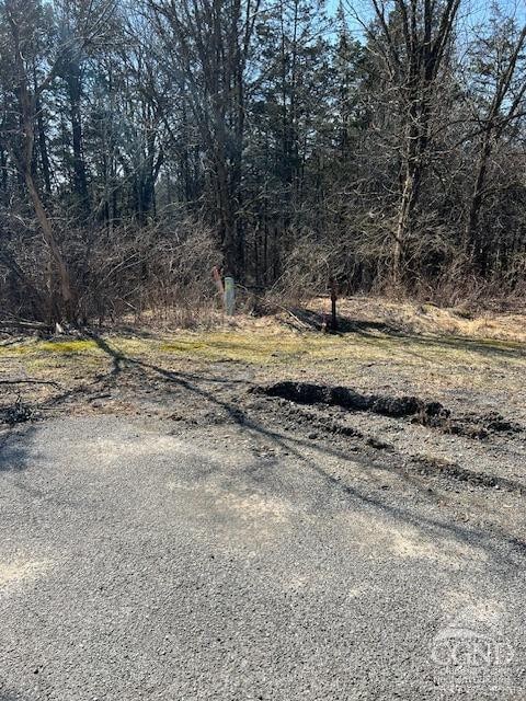 12 Sunset Ct, Athens, NY 12015 - photo 1