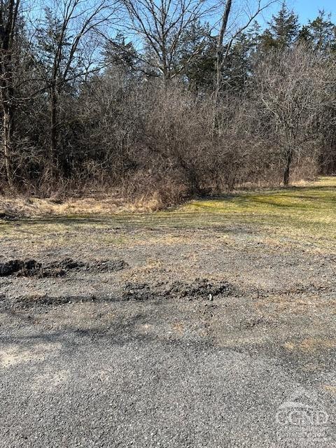 12 Sunset Ct, Athens, NY 12015 - photo 2
