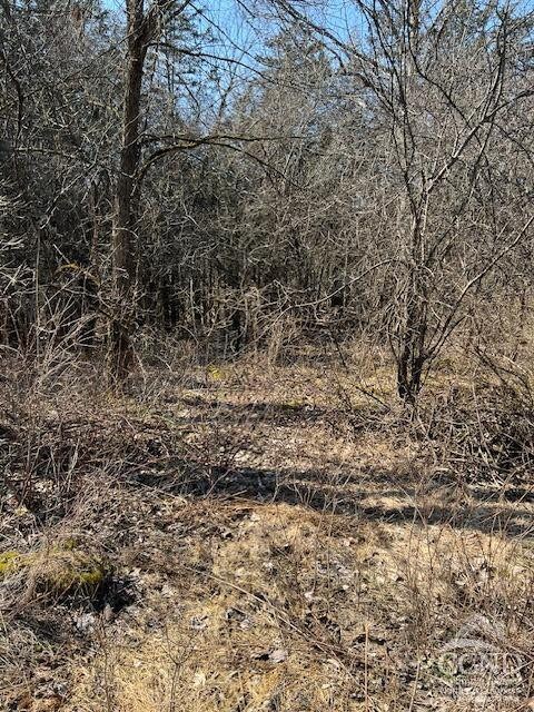 12 Sunset Ct, Athens, NY 12015 - photo 4