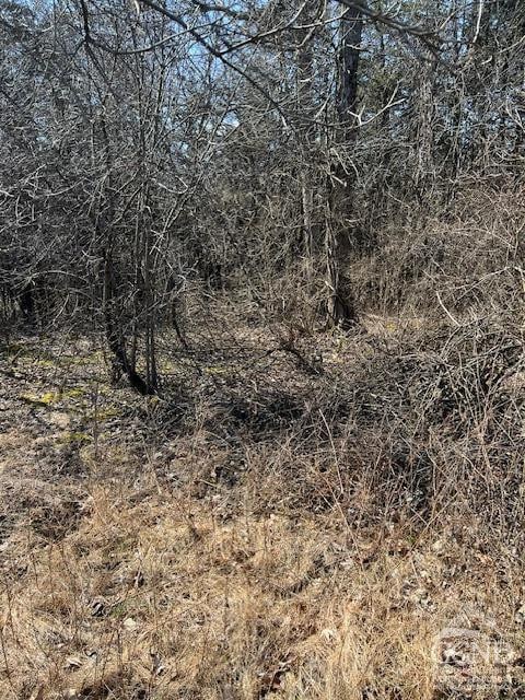 12 Sunset Ct, Athens, NY 12015 - photo 5