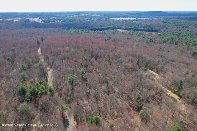 118 Hilltop Rd, Monticello, NY 12701 - photo 8