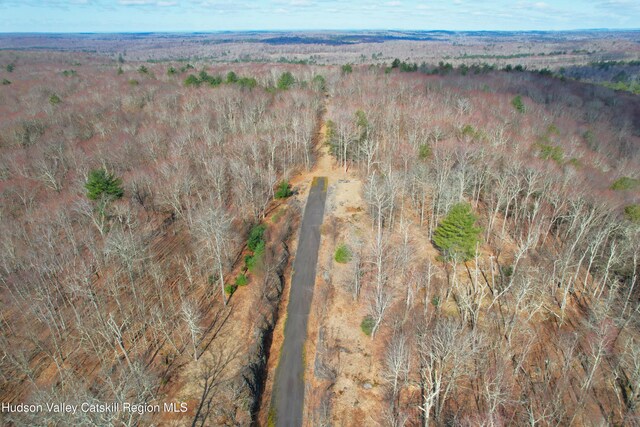 118 Hilltop Rd, Monticello, NY 12701 - photo 9