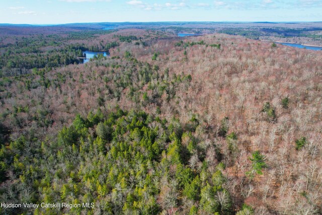 118 Hilltop Rd, Monticello, NY 12701 - photo 3