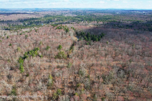 118 Hilltop Rd, Monticello, NY 12701 - photo 27