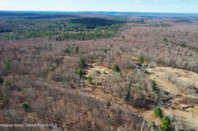 118 Hilltop Rd, Monticello, NY 12701 - photo 10