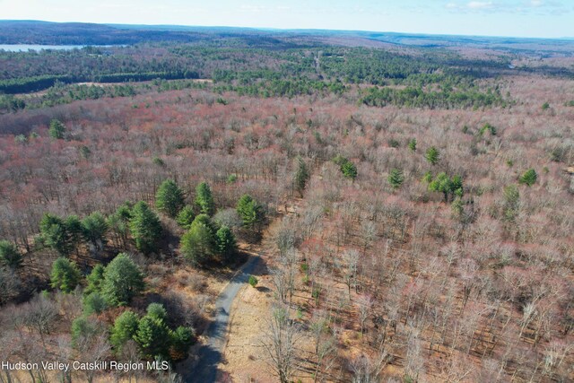 118 Hilltop Rd, Monticello, NY 12701 - photo 5
