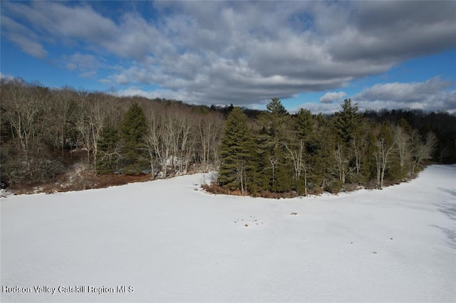 118 Hilltop Rd, Monticello NY, 12701 land for sale