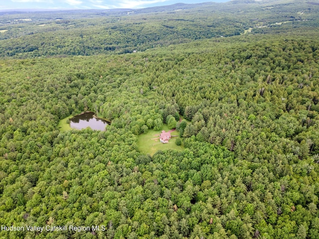 552 Bearkill Rd, Gilboa, NY 12076 - aerial view of a heavily wooded area and a large body of water
