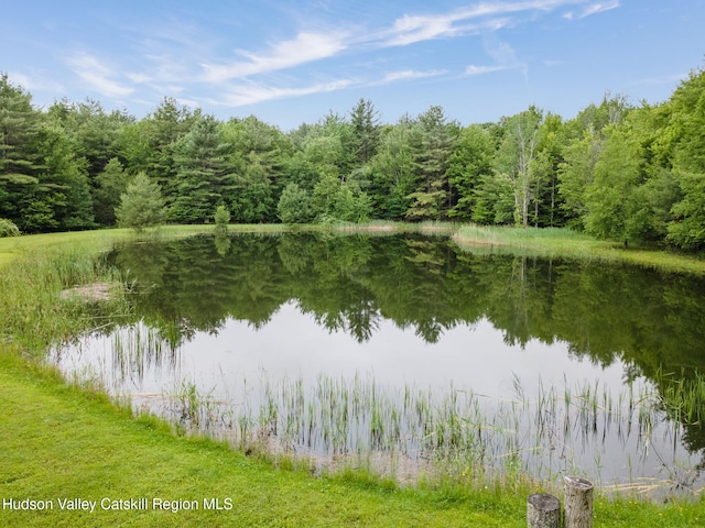 552 Bearkill Rd, Gilboa, NY 12076 - water view featuring a heavily wooded area