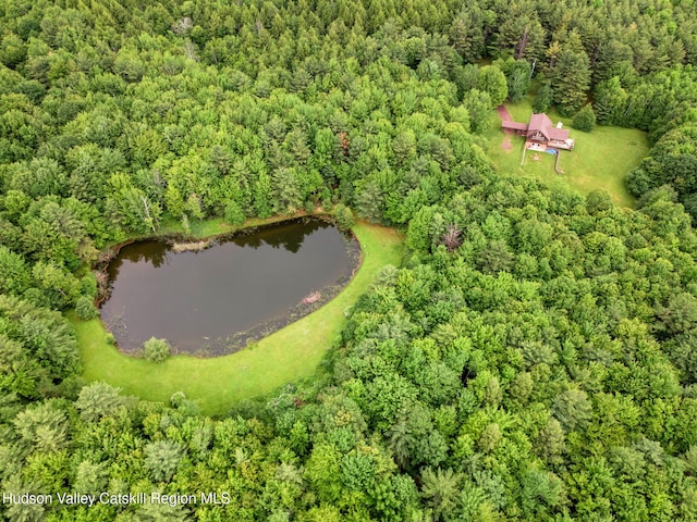 552 Bearkill Rd, Gilboa, NY 12076 - aerial view of property's location featuring a heavily wooded area and a nearby body of water