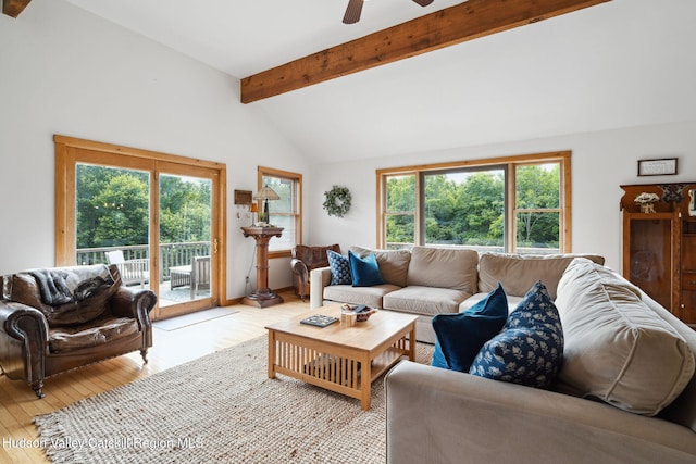 552 Bearkill Rd, Gilboa, NY 12076 - living room with light wood-style flooring and ceiling fan