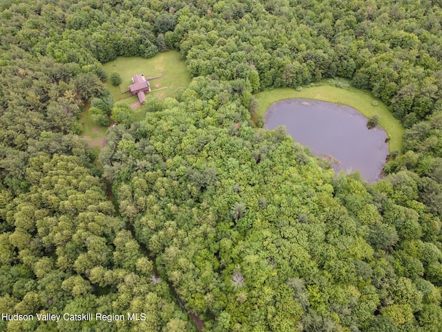 552 Bearkill Rd, Gilboa, NY 12076 - aerial view of property and surrounding area featuring a large body of water and a heavily wooded area