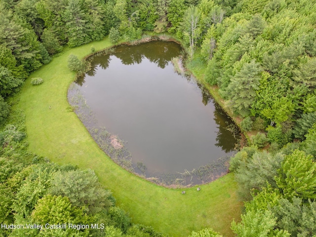 552 Bearkill Rd, Gilboa, NY 12076 - drone / aerial view of a nearby body of water