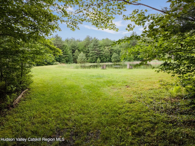 552 Bearkill Rd, Gilboa, NY 12076 - view of green lawn with a water view and a view of trees