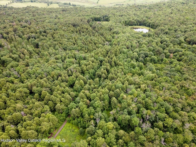 552 Bearkill Rd, Gilboa, NY 12076 - bird's eye view of a nearby body of water and a heavily wooded area