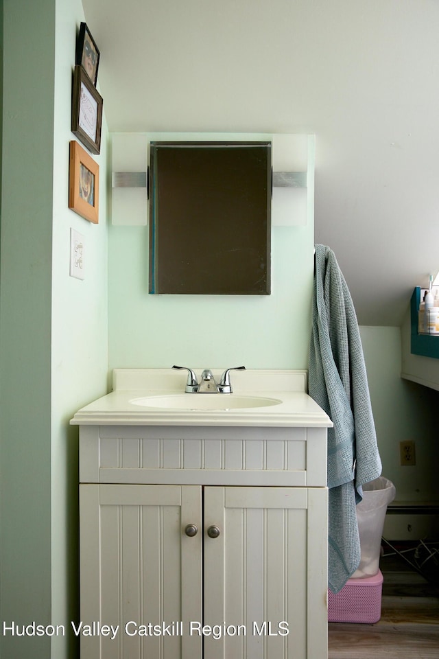 bathroom featuring wood finished floors and vanity