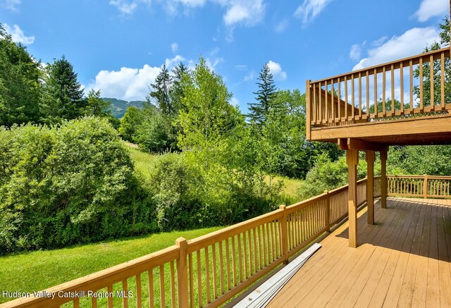 deck with a lawn