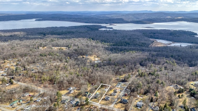 birds eye view of property with a forest view and a water and mountain view