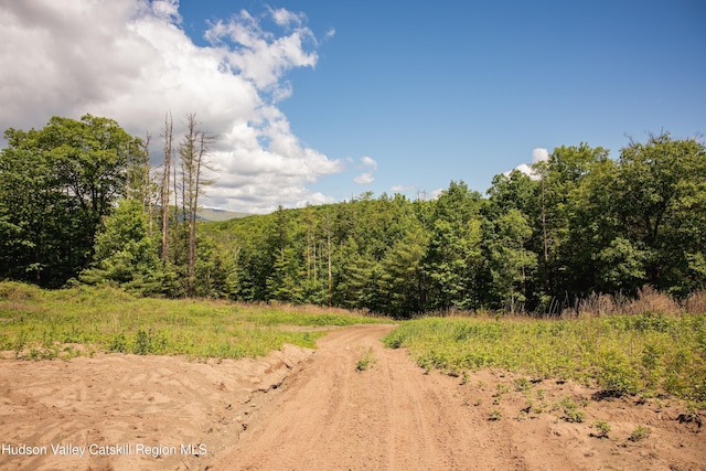 Tbd Route 212, Saugerties, NY 12477