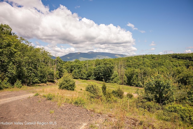 Tbd Route 212, Saugerties, NY 12477