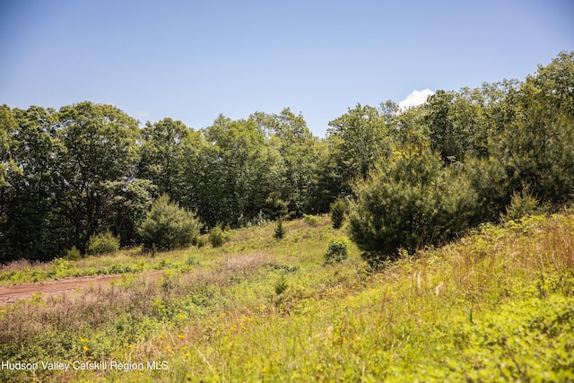 Tbd Route 212, Saugerties, NY 12477