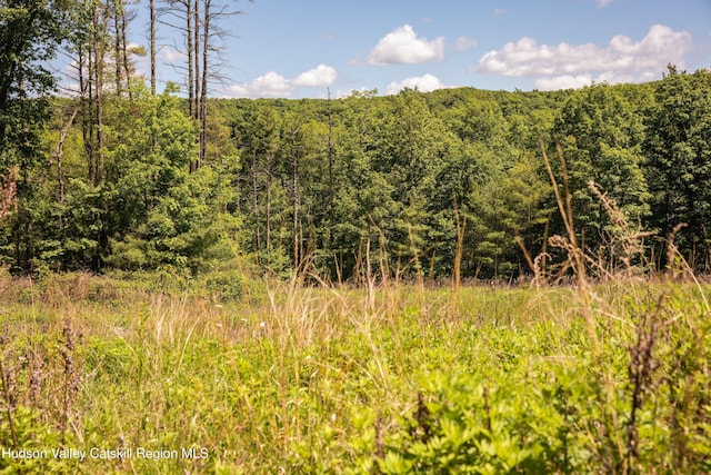 Tbd Route 212, Saugerties, NY 12477