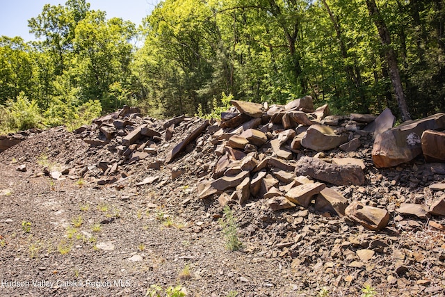 Tbd Route 212, Saugerties, NY 12477