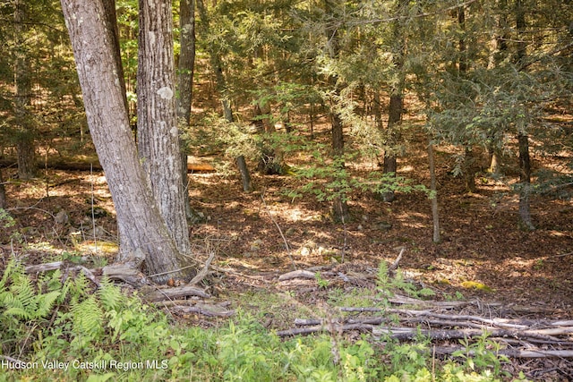 Tbd Route 212, Saugerties, NY 12477