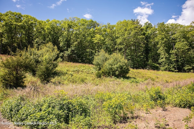 Tbd Route 212, Saugerties, NY 12477