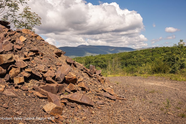 Tbd Route 212, Saugerties, NY 12477