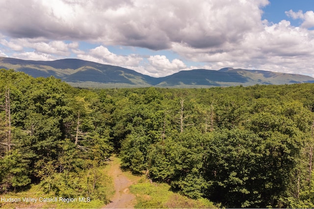 Tbd Route 212, Saugerties, NY 12477