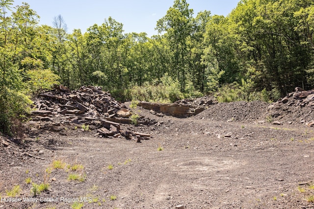 Tbd Route 212, Saugerties, NY 12477