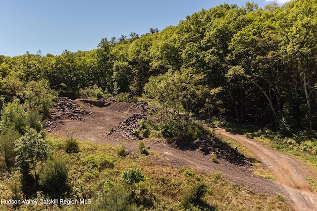 Tbd Route 212, Saugerties, NY 12477