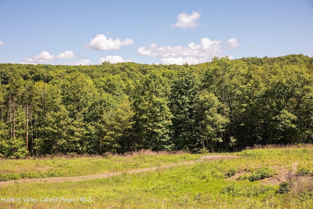 Tbd Route 212, Saugerties, NY 12477