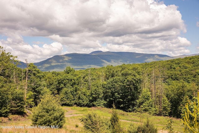 Tbd Route 212, Saugerties, NY 12477