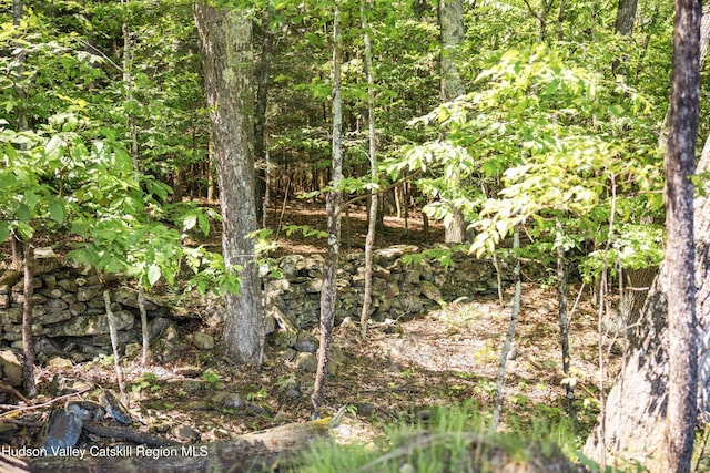 Tbd Route 212, Saugerties, NY 12477