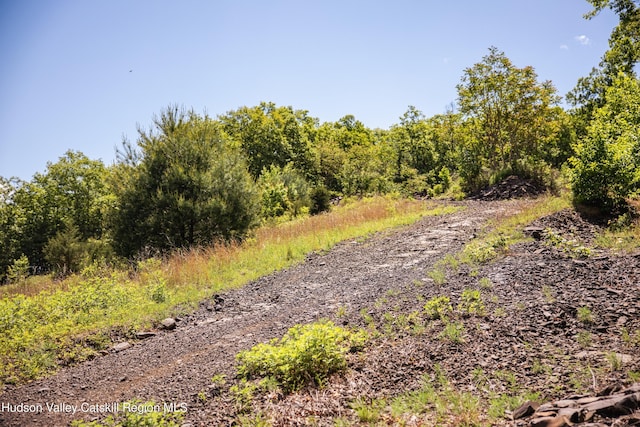 Tbd Route 212, Saugerties, NY 12477