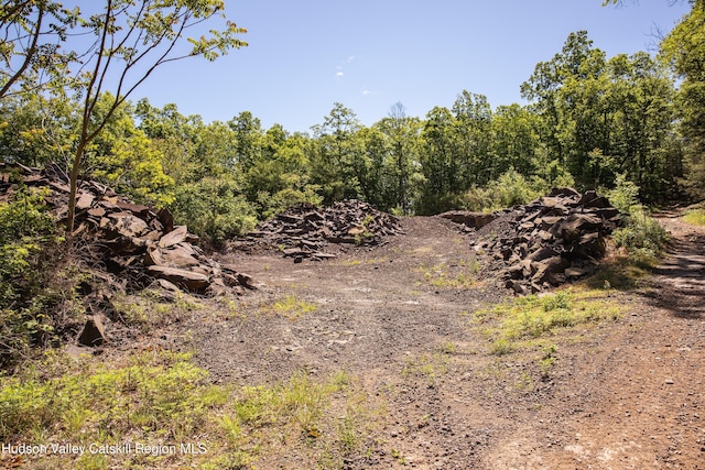 Tbd Route 212, Saugerties, NY 12477