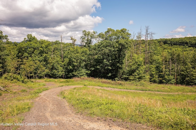 Tbd Route 212, Saugerties, NY 12477