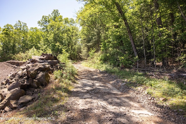 Tbd Route 212, Saugerties, NY 12477