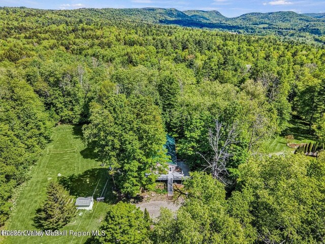 633 Moore Hill Rd, Stephentown, NY 12169 - photo 28