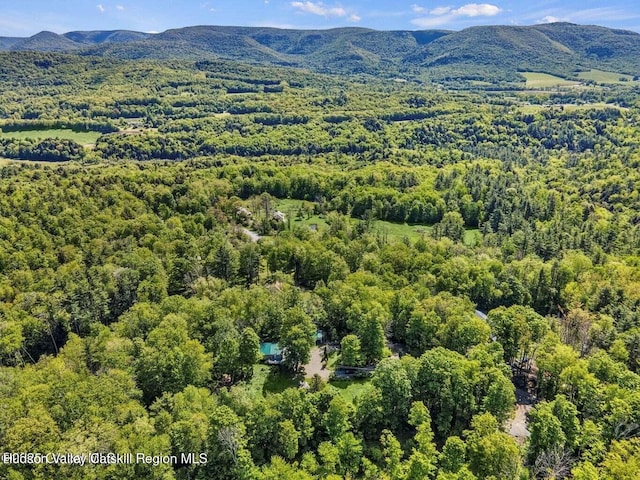 633 Moore Hill Rd, Stephentown, NY 12169 - photo 29