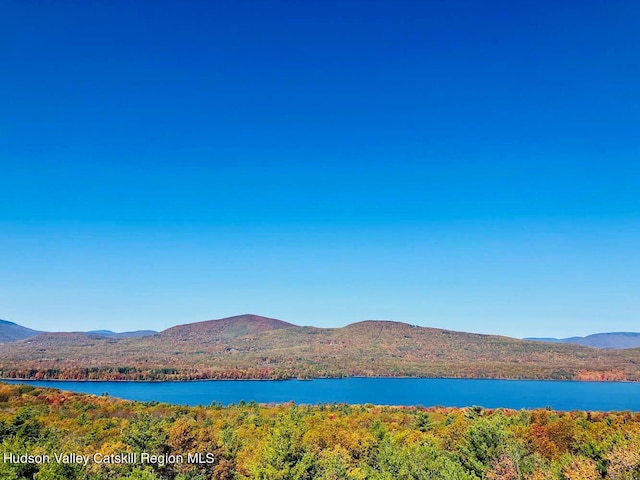 property view of water featuring a mountain view