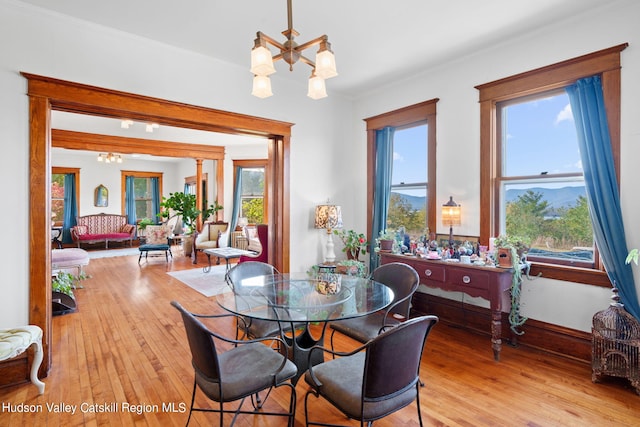 dining room with light wood-type flooring, a wealth of natural light, and an inviting chandelier