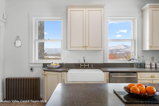 kitchen featuring dishwasher, radiator, dark countertops, a mountain view, and a sink