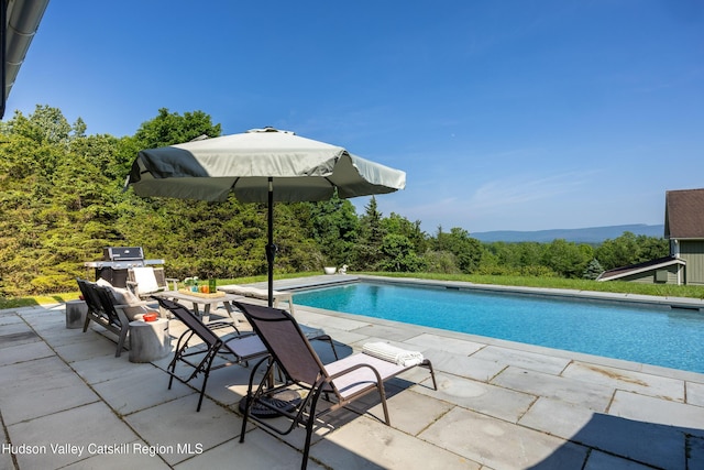 64 Dug Rd, Accord, NY 12404 - outdoor pool with a patio and grilling area