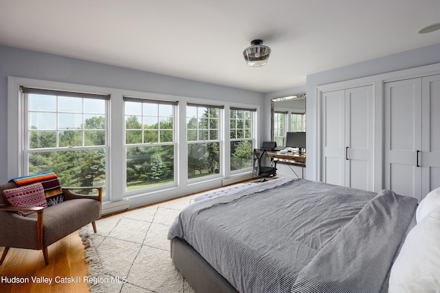 64 Dug Rd, Accord, NY 12404 - bedroom featuring two closets and light wood-style floors