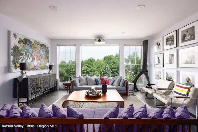 64 Dug Rd, Accord, NY 12404 - living area with recessed lighting