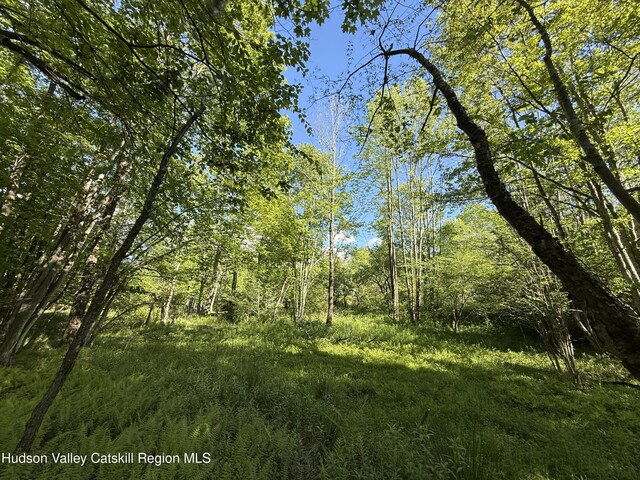 383 Ferndale Loomis Rd, Liberty, NY 12754 - photo 15