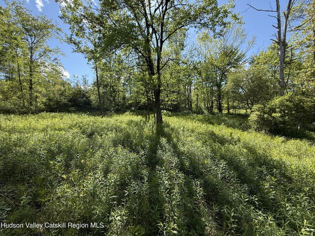 383 Ferndale Loomis Rd, Liberty, NY 12754 - photo 9